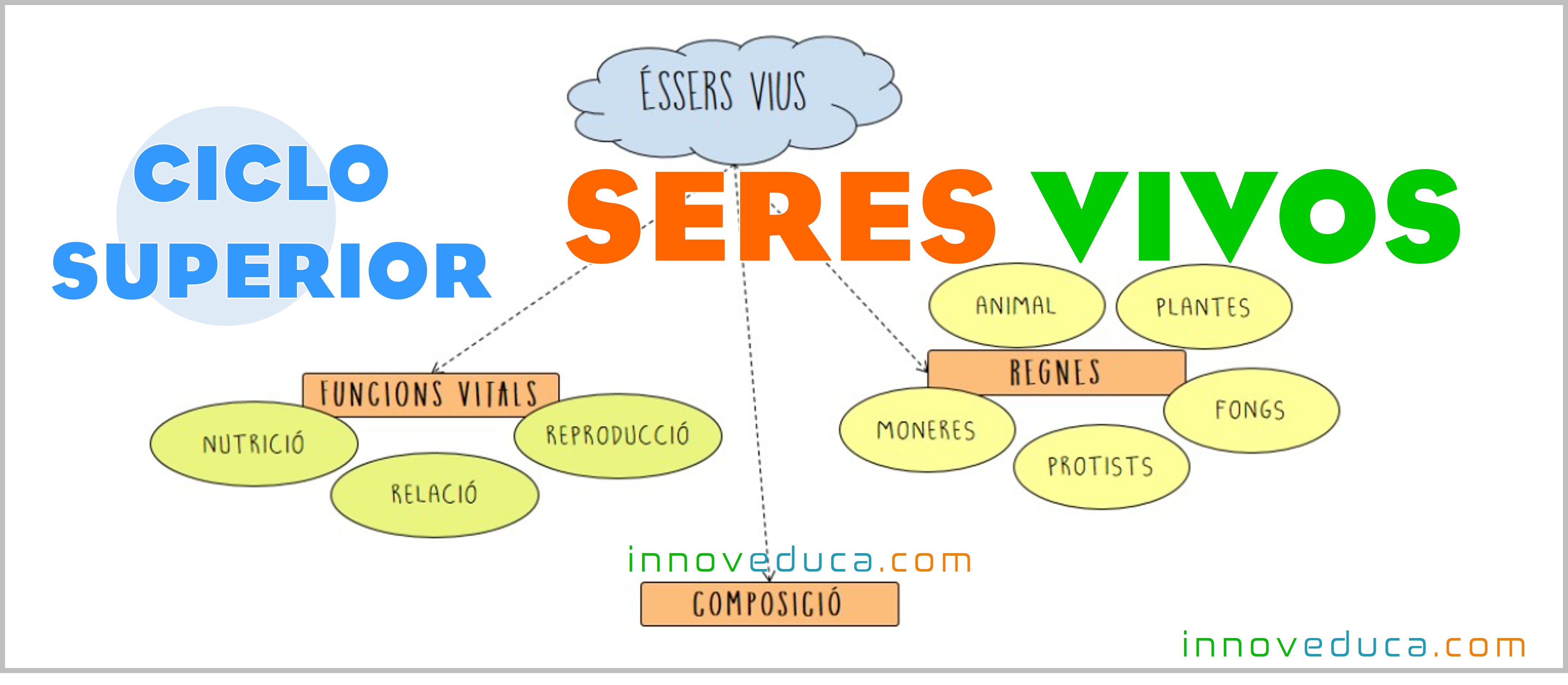 Seres vivos: ciclo superior